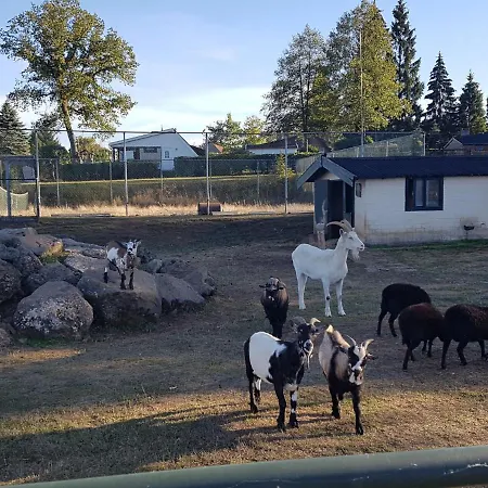 Haus 11 By Interhome בית נופש גרולסטיין