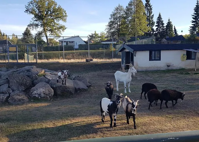 Haus 11 By Interhome 別荘 ゲロルシュタイン