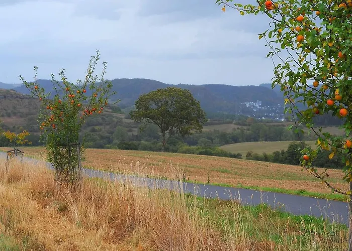 Haus 11 By Interhome * גרולסטיין